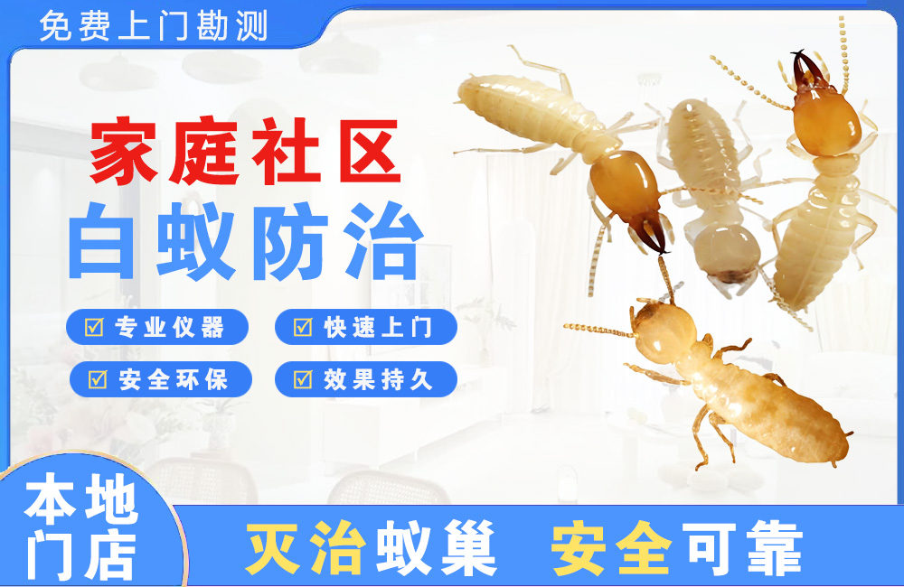 宜宾家庭社区白蚁防治