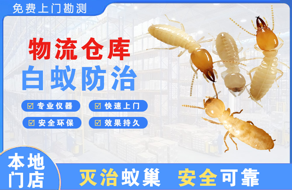 宜宾物流仓库白蚁防治