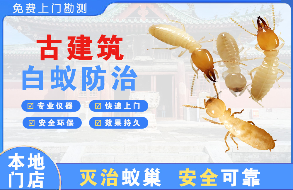 宜宾古建筑白蚁防治